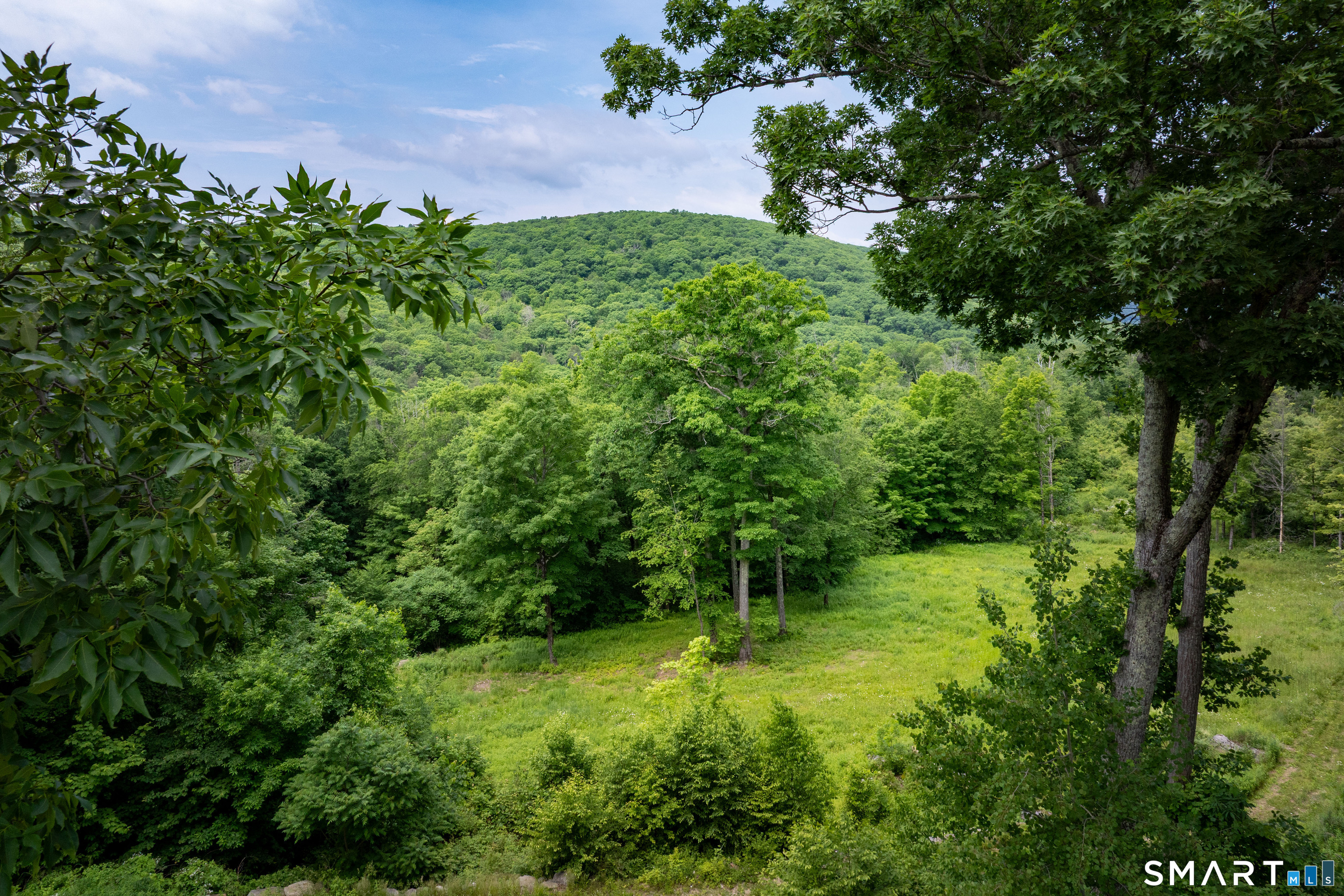 178 Carter Road Kent, CT 06754 - Photo 35 of 40 open pasture