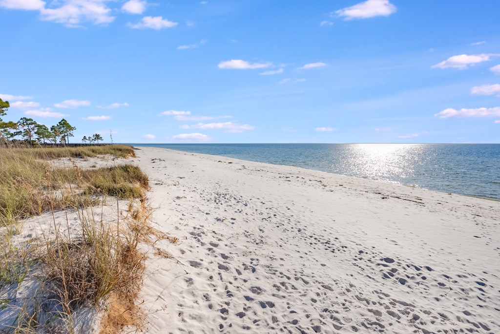 736 Backwater Road Port St. Joe, FL 32456 - Photo 90 of 90