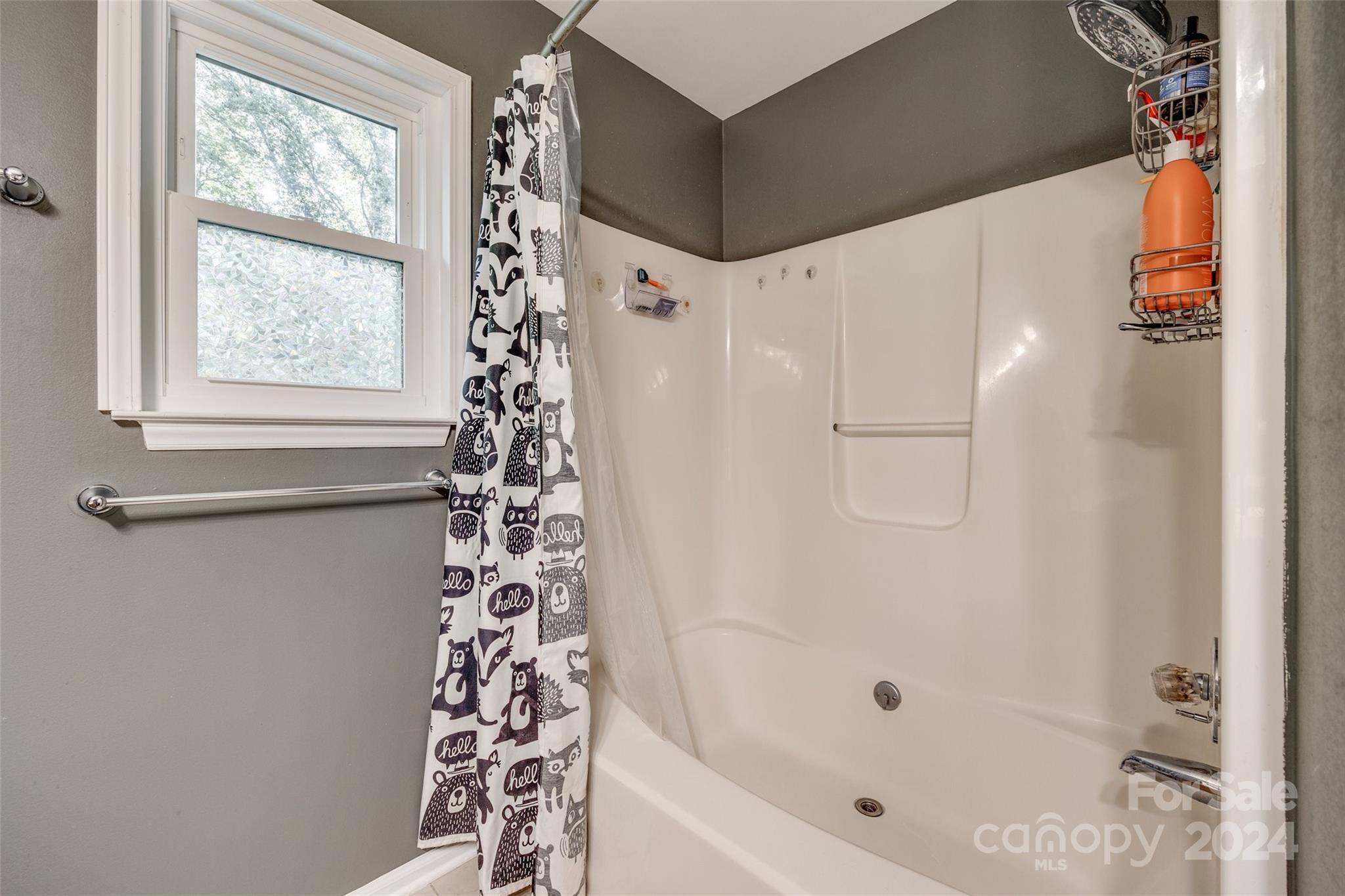 1530 Nichole Lane Fort Mill, SC 29708 - Photo 25 of 32
