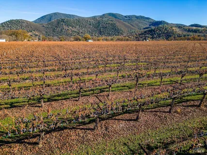 a view of lake and mountain