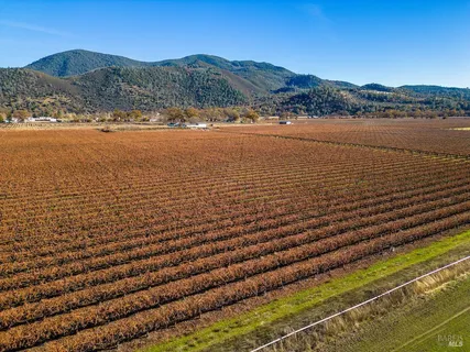 a view of an ocean and beach