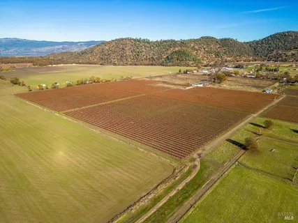 a view of an ocean and beach