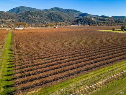 a view of an ocean with a mountain