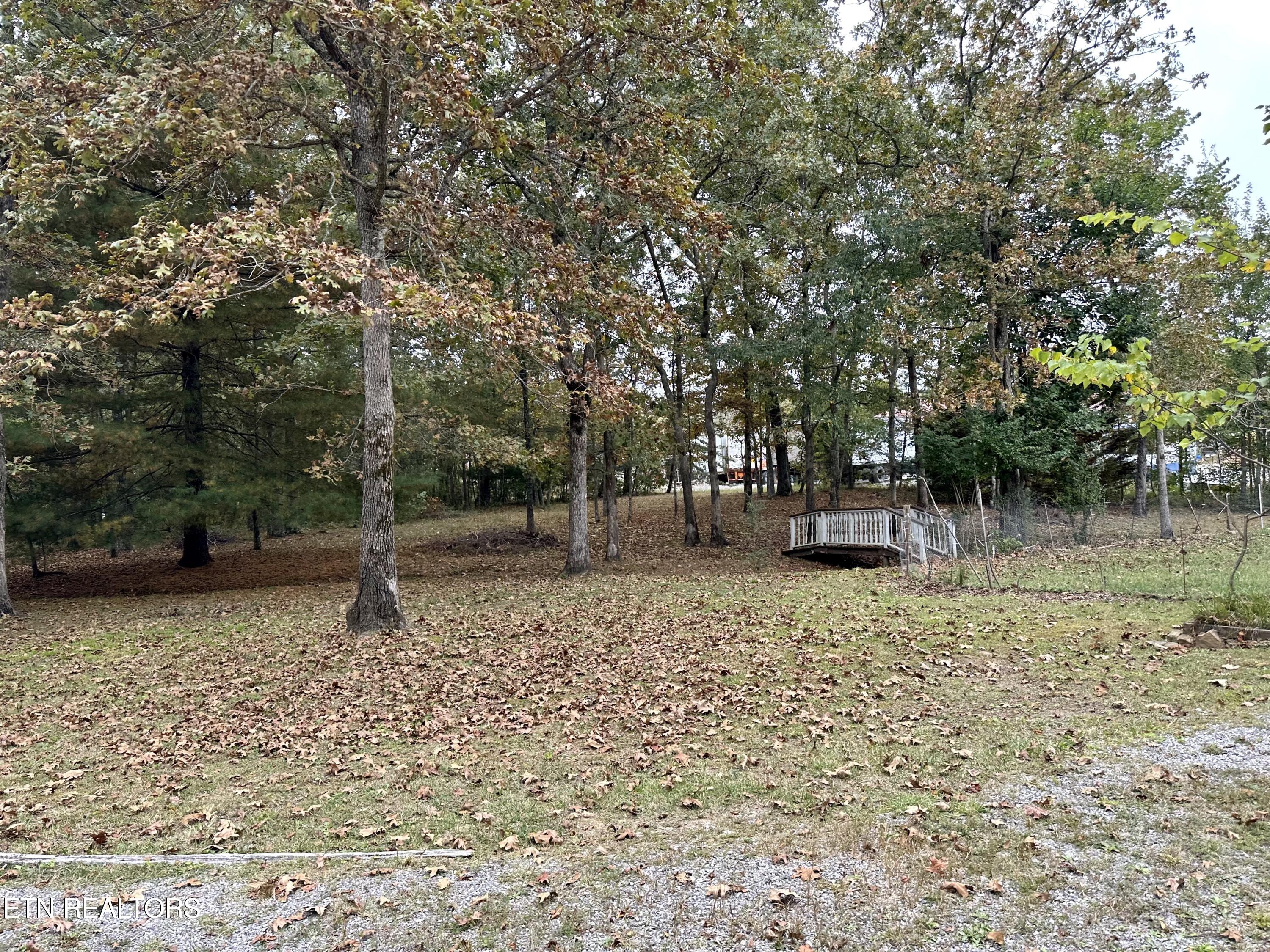 1102 Stone Loop Crossville, TN 38571 - Photo 25 of 27 IMG_8844