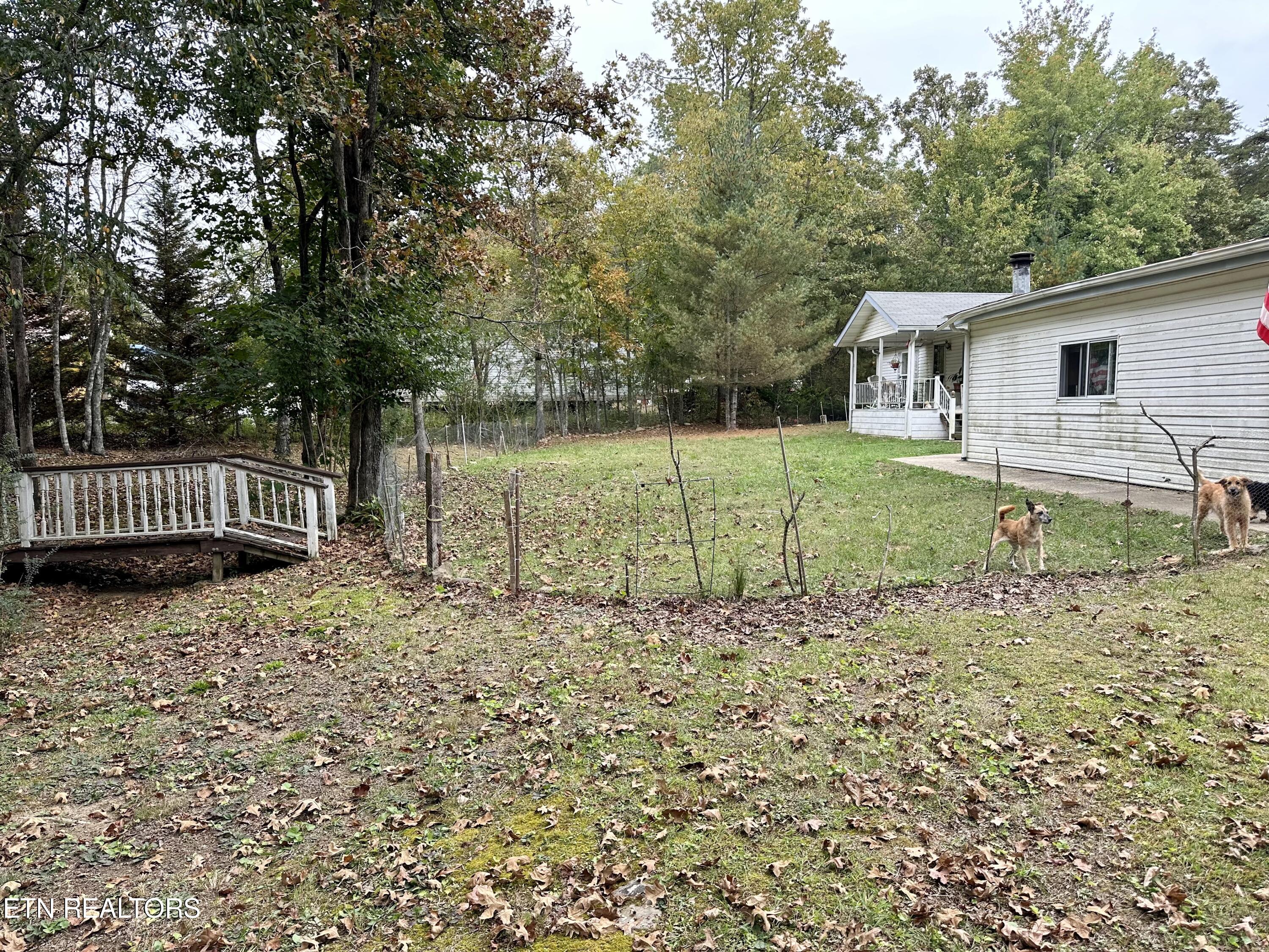 1102 Stone Loop Crossville, TN 38571 - Photo 26 of 27 IMG_8845