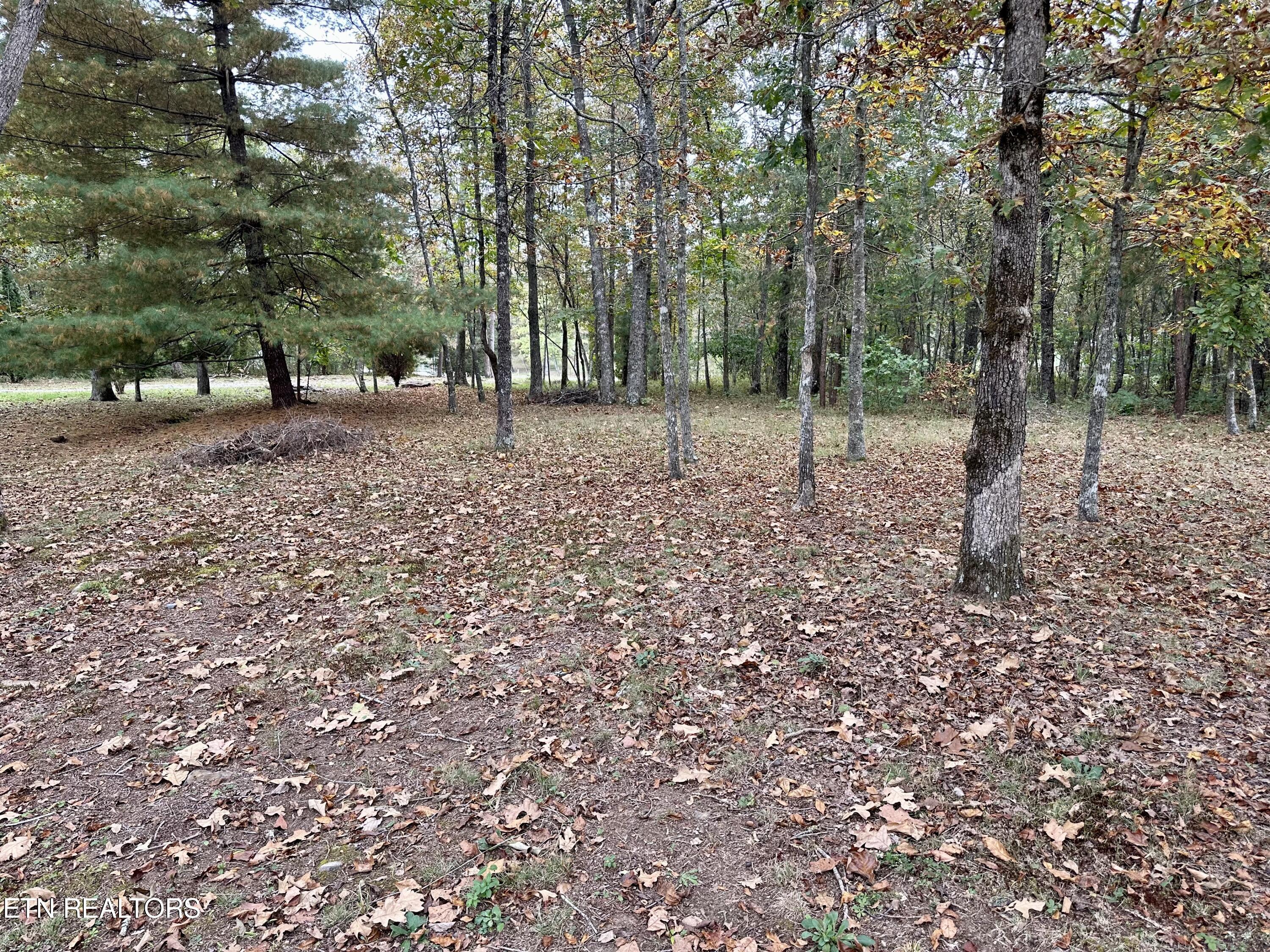 1102 Stone Loop Crossville, TN 38571 - Photo 27 of 27 IMG_8848