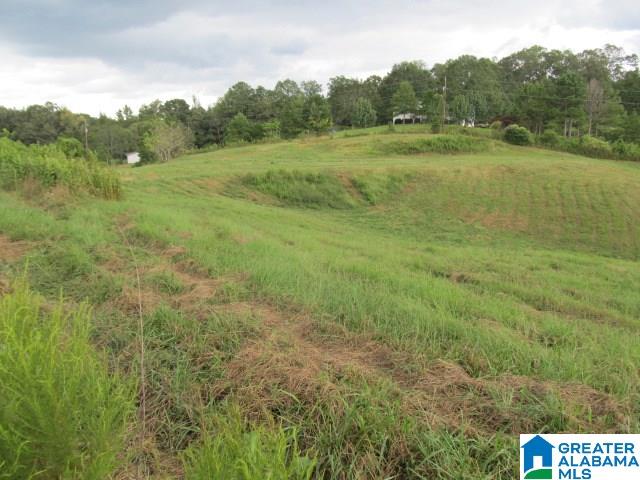 79 Highway 79, Unit 33 Cleveland, AL 35049 - Photo 13 of 32