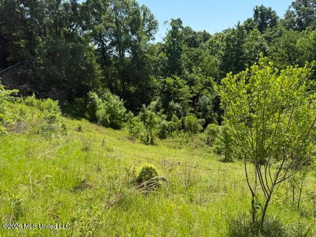 53 Cliffs Plantation Road Natchez, MS 39120 - Photo 3 of 23 53 Cliffs Plantation Pic 3