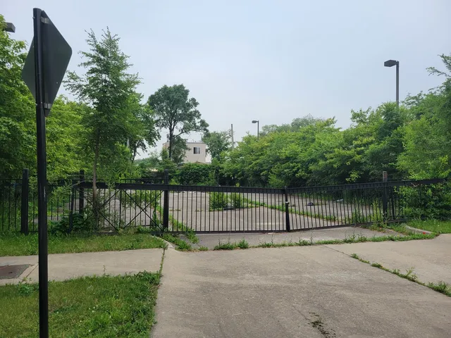 a view of a bench in a garden