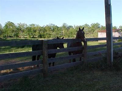 250 McNease Road Paris, KY 40361 - Photo 18 of 23 Photo 18