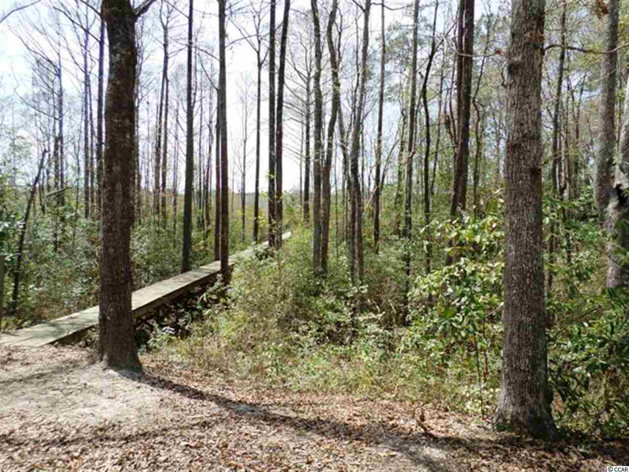 3783 Choppee Road Georgetown, SC 29440 - Photo 13 of 24 Gallery Image 13