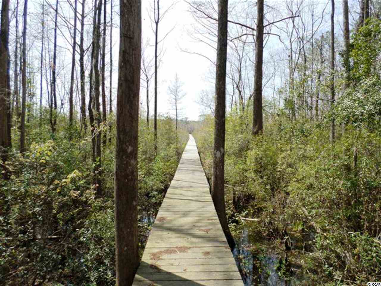 3783 Choppee Road Georgetown, SC 29440 - Photo 14 of 24 Gallery Image 14