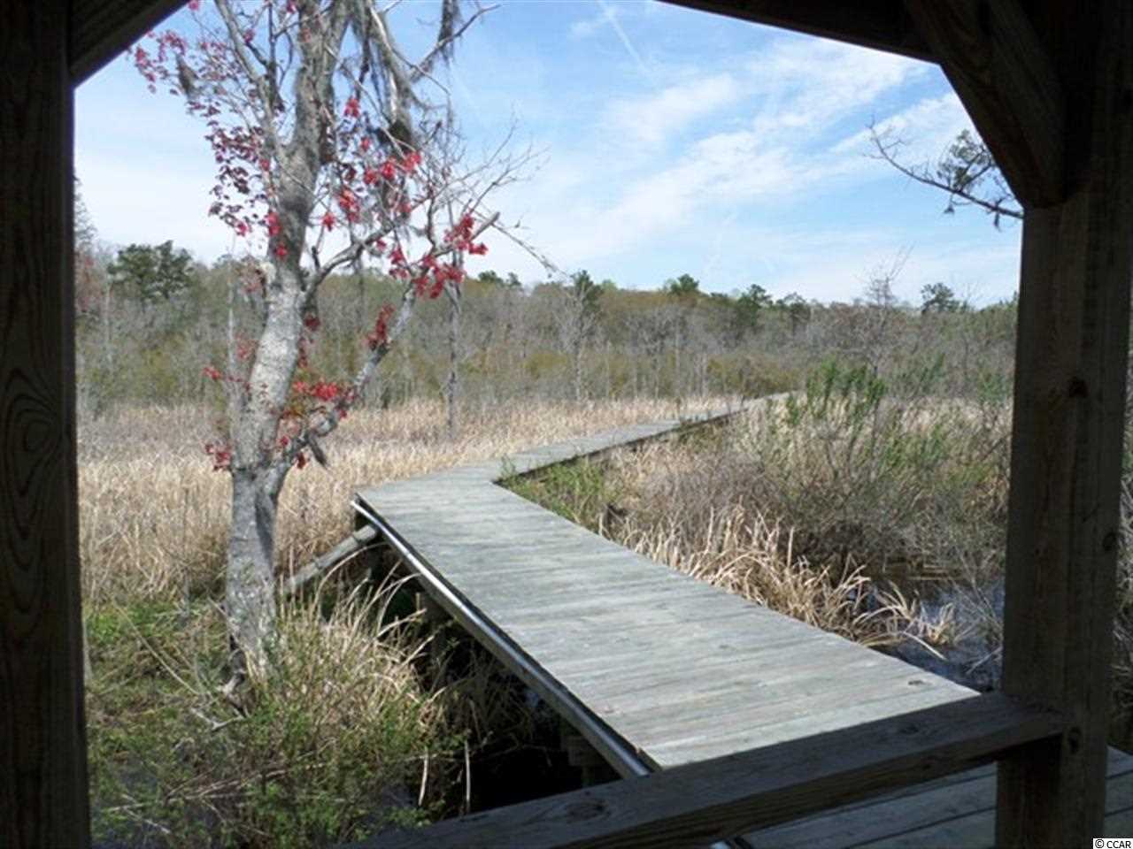 3783 Choppee Road Georgetown, SC 29440 - Photo 20 of 24 Gallery Image 20