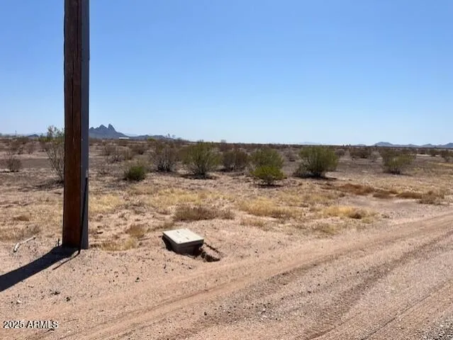 a view of a road from a yard