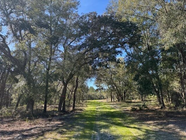 Northeast 150th Avenue Road Fort McCoy, FL 32134 - Photo 1 of 1 a view of a fountain in middle of the forest