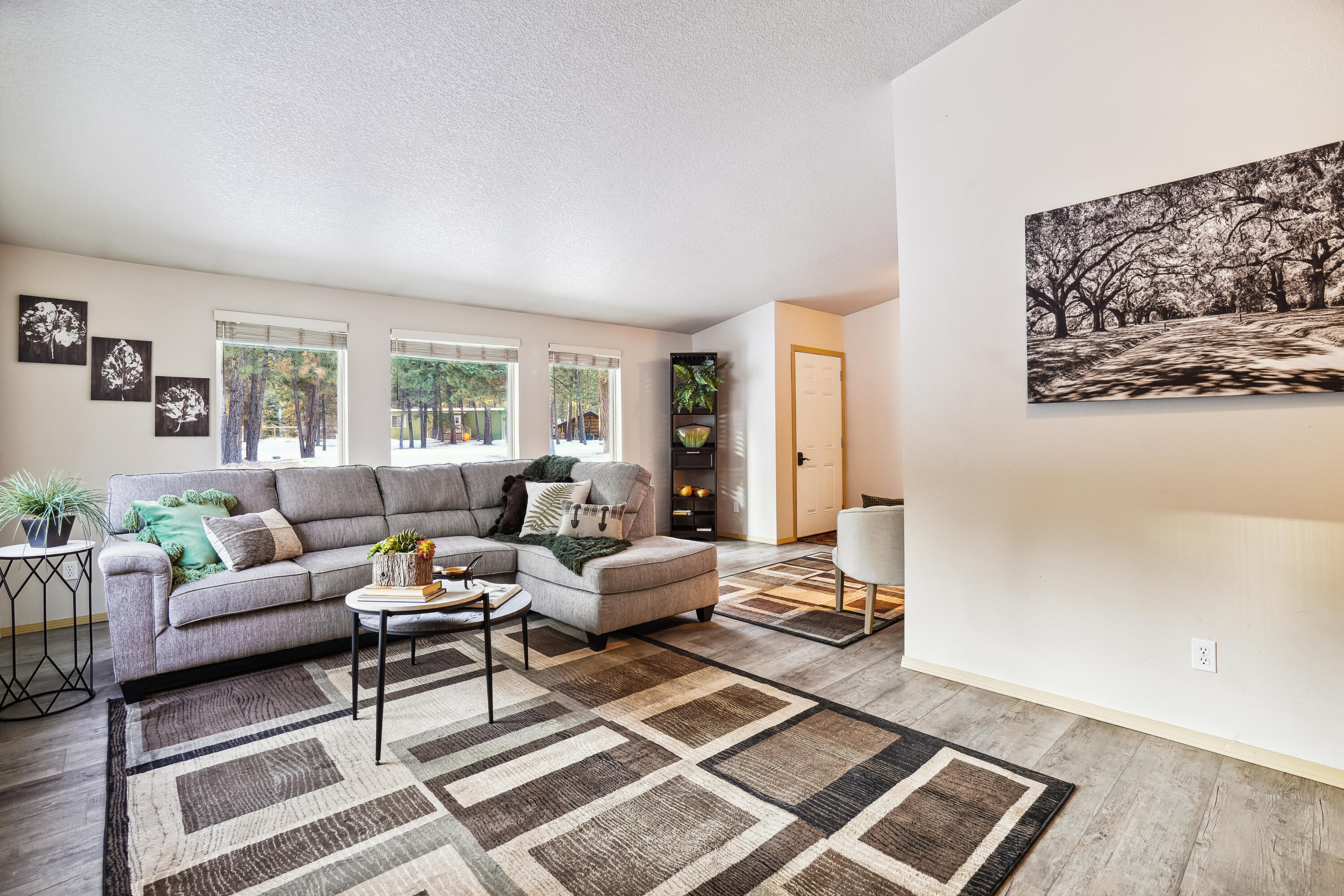 main_level-living_room-dsc4138