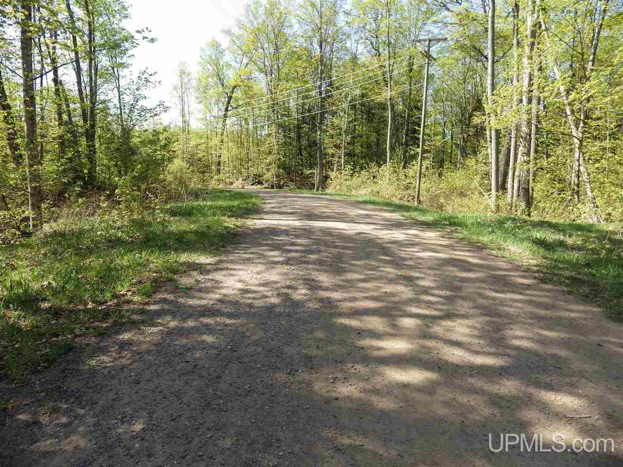 30 Acres Off Grove Street Marquette, MI 49855 - Photo 13 of 22