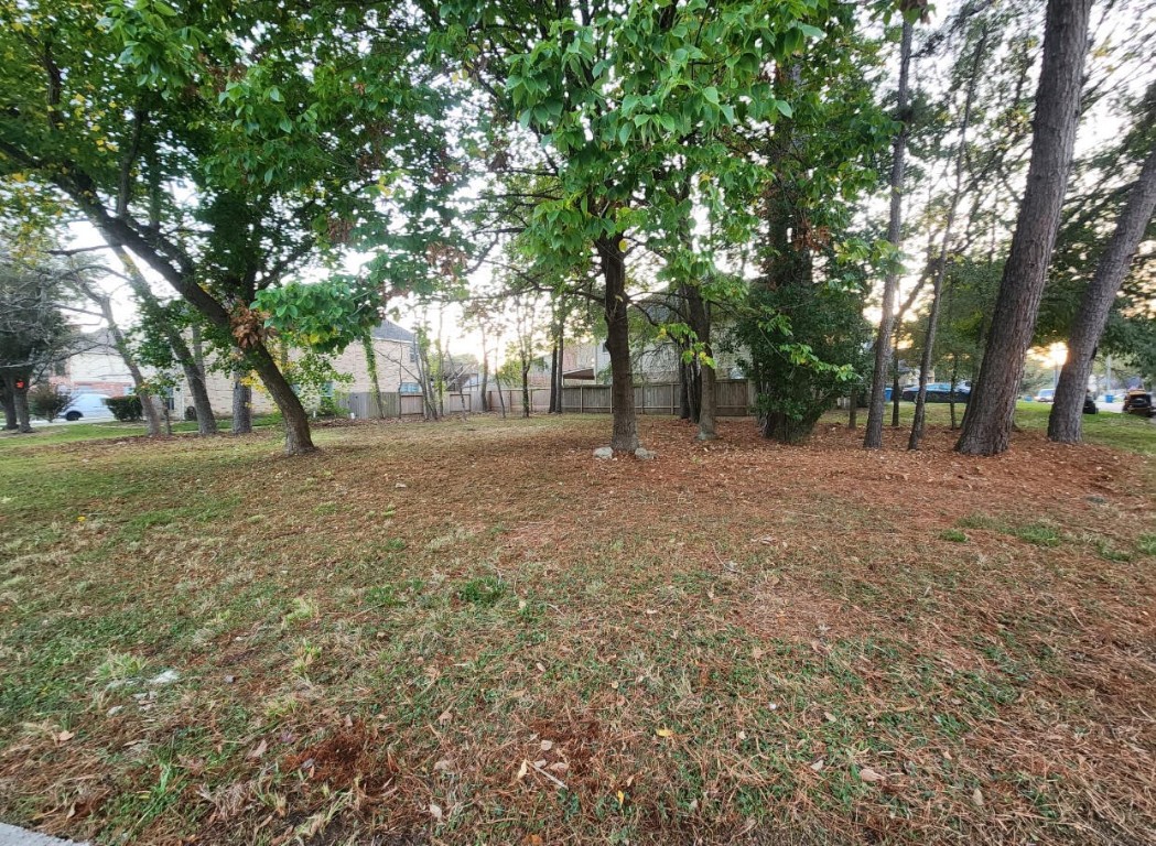 8630 Discus Drive Humble, TX 77346 - Photo 4 of 9 a backyard of a house with lots of green space