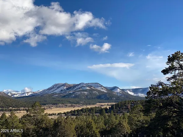 a view of a house with a mountain in the background