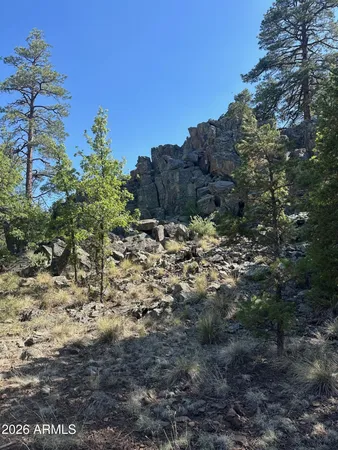 a view of a dry field