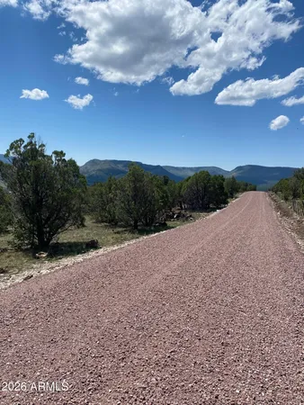 a view of a city street
