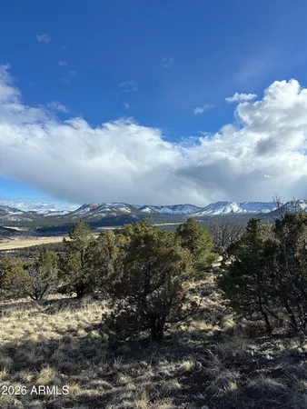 a view of a city with mountains in the background
