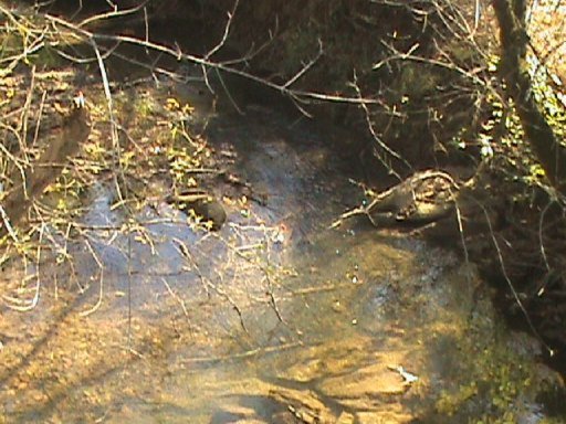 Primary Photo