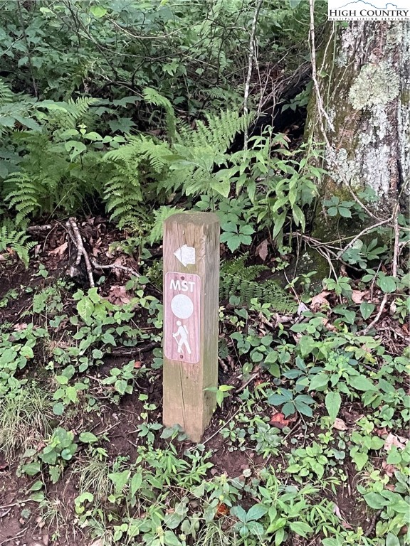 Phillips Gap Road Purlear, NC 28665 - Photo 27 of 29