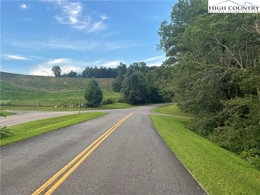Phillips Gap Road Purlear, NC 28665 - Photo 28 of 29