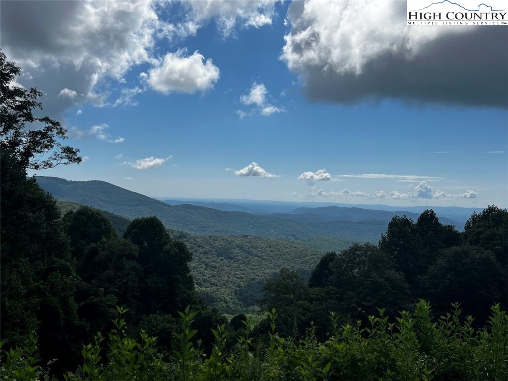 Phillips Gap Road Purlear, NC 28665 - Photo 5 of 29