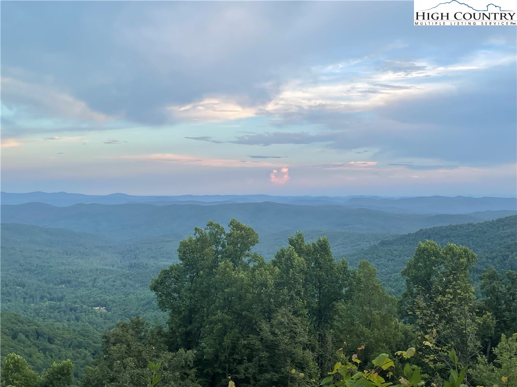 Phillips Gap Road Purlear, NC 28665 - Photo 6 of 29