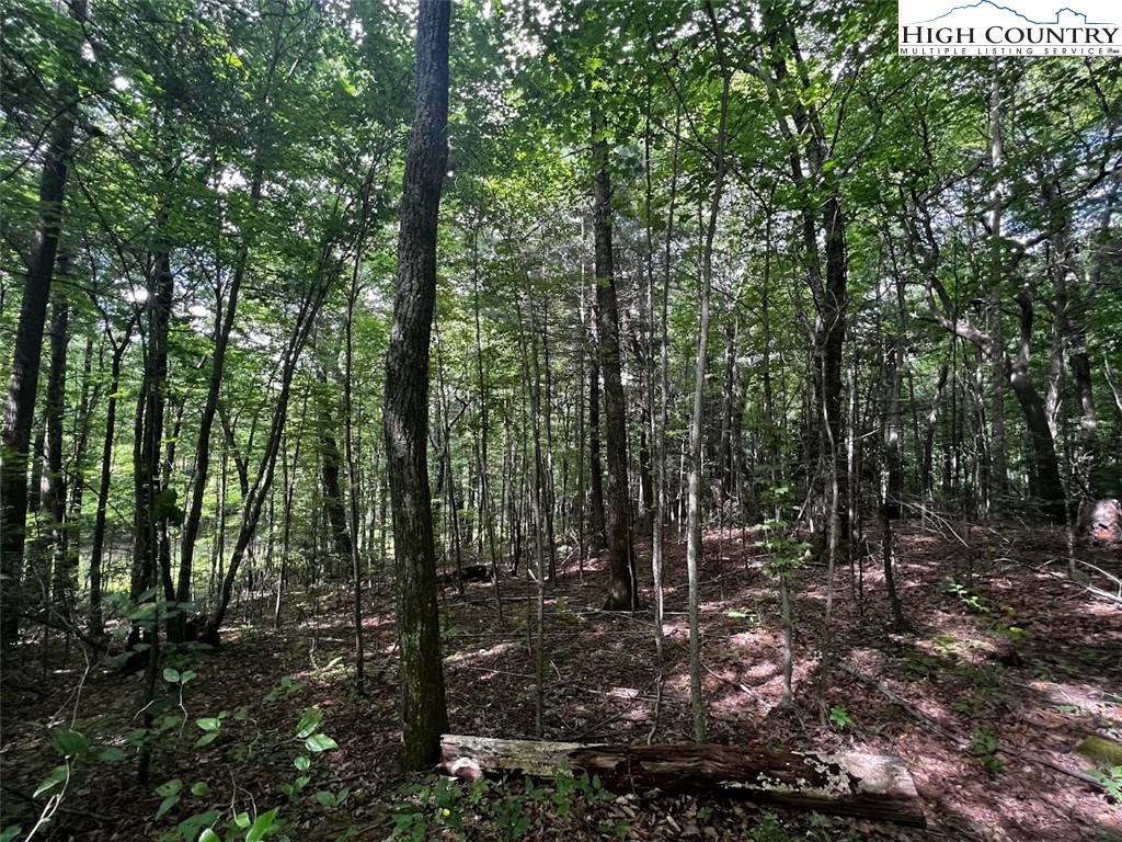 Phillips Gap Road Purlear, NC 28665 - Photo 10 of 29 a view of outdoor space and green space