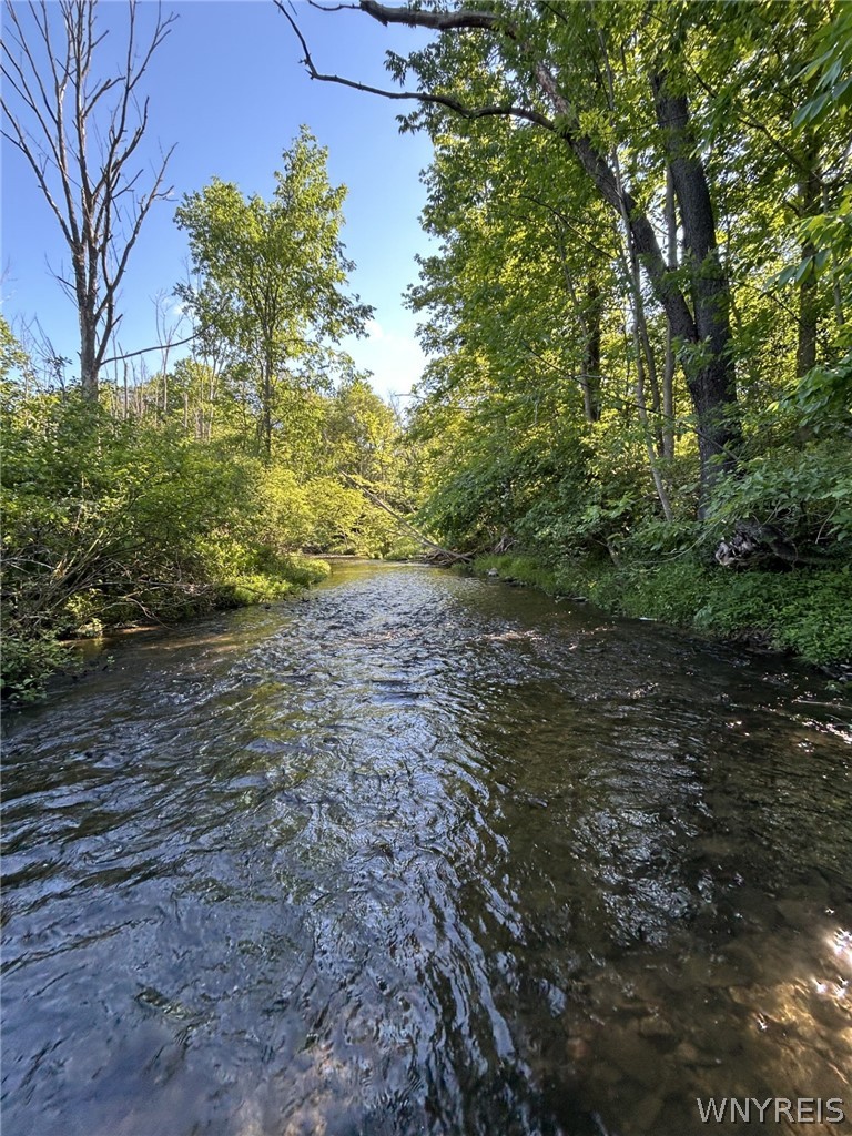 6810 Rt-39 Bliss, NY 14024 - Photo 5 of 10 CREEK