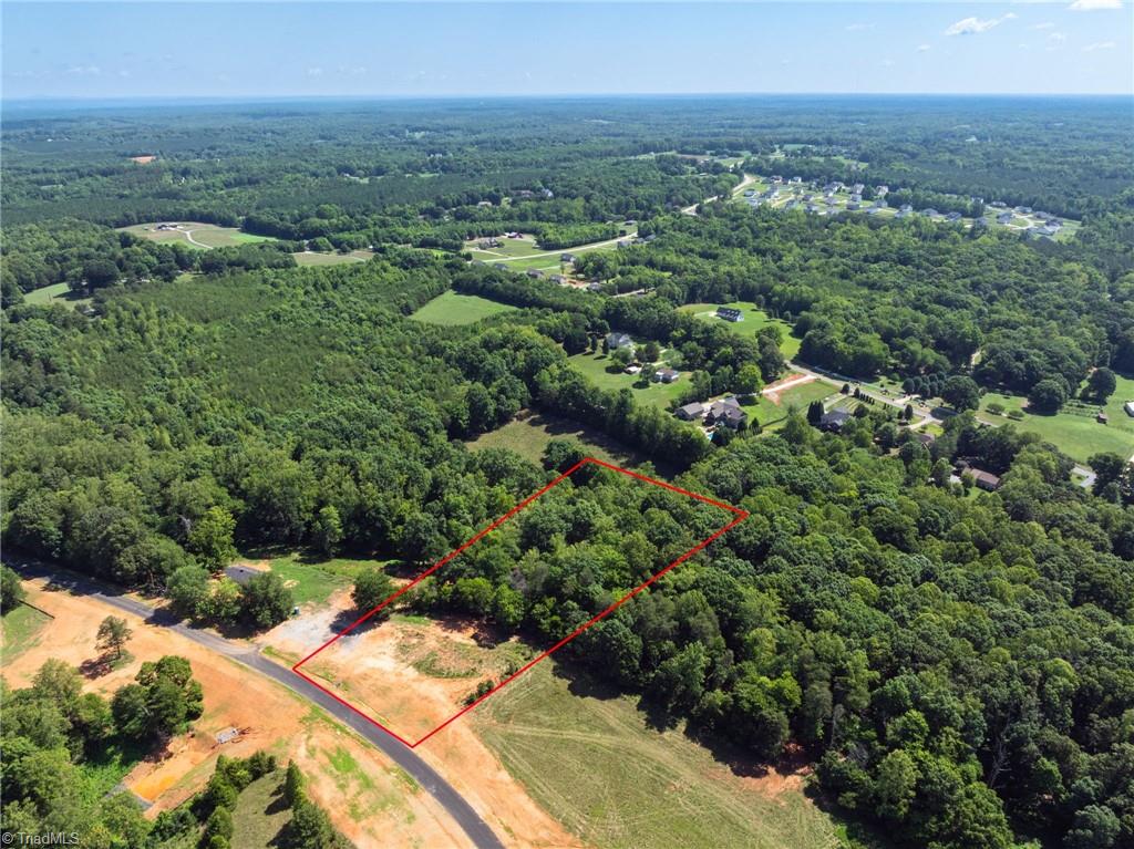7289 Plunkett Road Stokesdale, NC 27357 - Photo 3 of 27 Privacy with 5 star amenities
