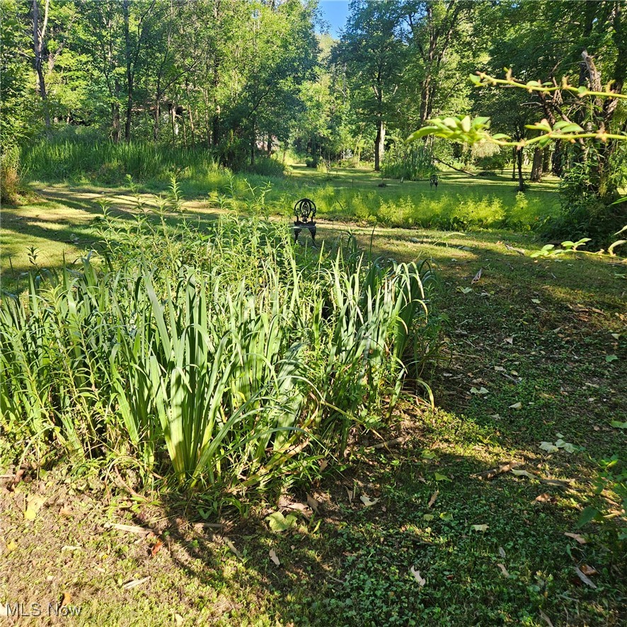 13610 Sperry Road Novelty, OH 44072 - Photo 17 of 42 View of yard with view of wooded area