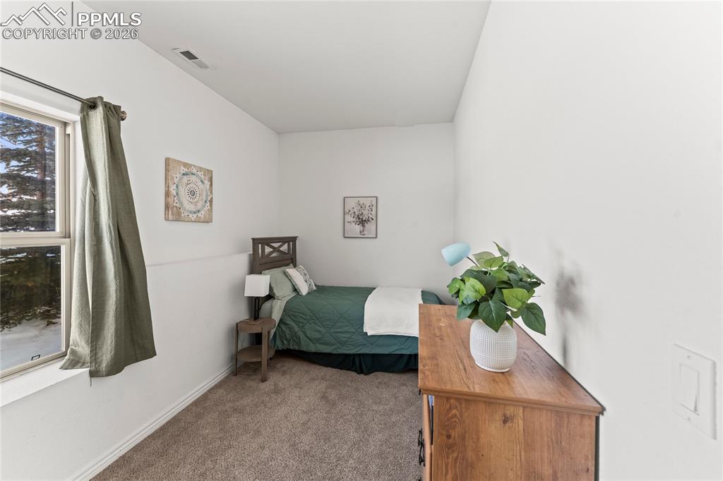 112 Ridge Point Circle Divide, CO 80814 - Photo 43 of 50 a room with a potted plant