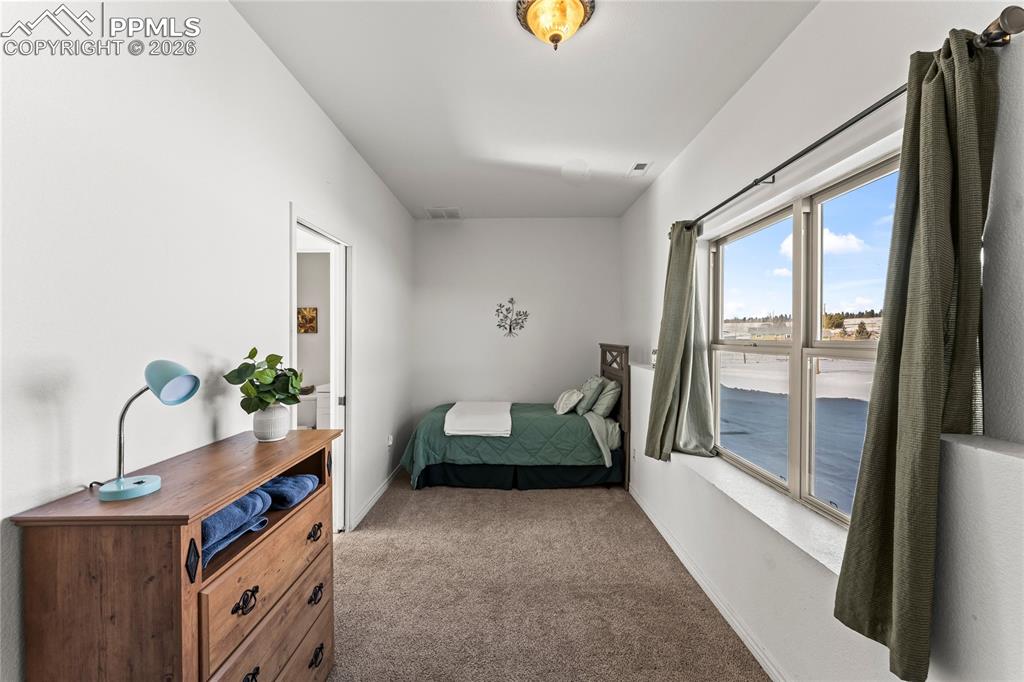 112 Ridge Point Circle Divide, CO 80814 - Photo 44 of 50 a living room with furniture and a potted plant