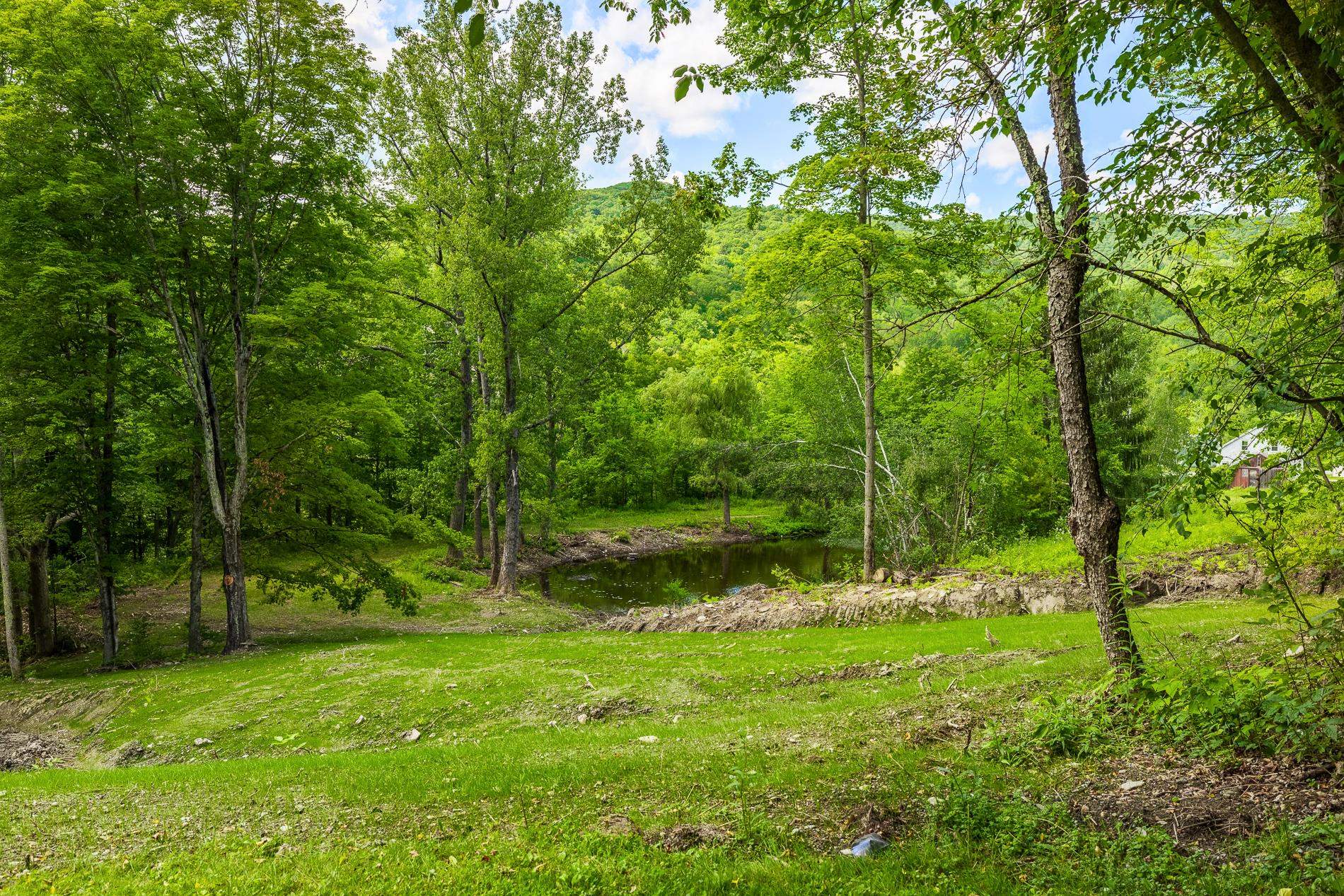 1333 Woodcock Road Sandgate, VT 05250 - Photo 28 of 36 Gallery Image 28