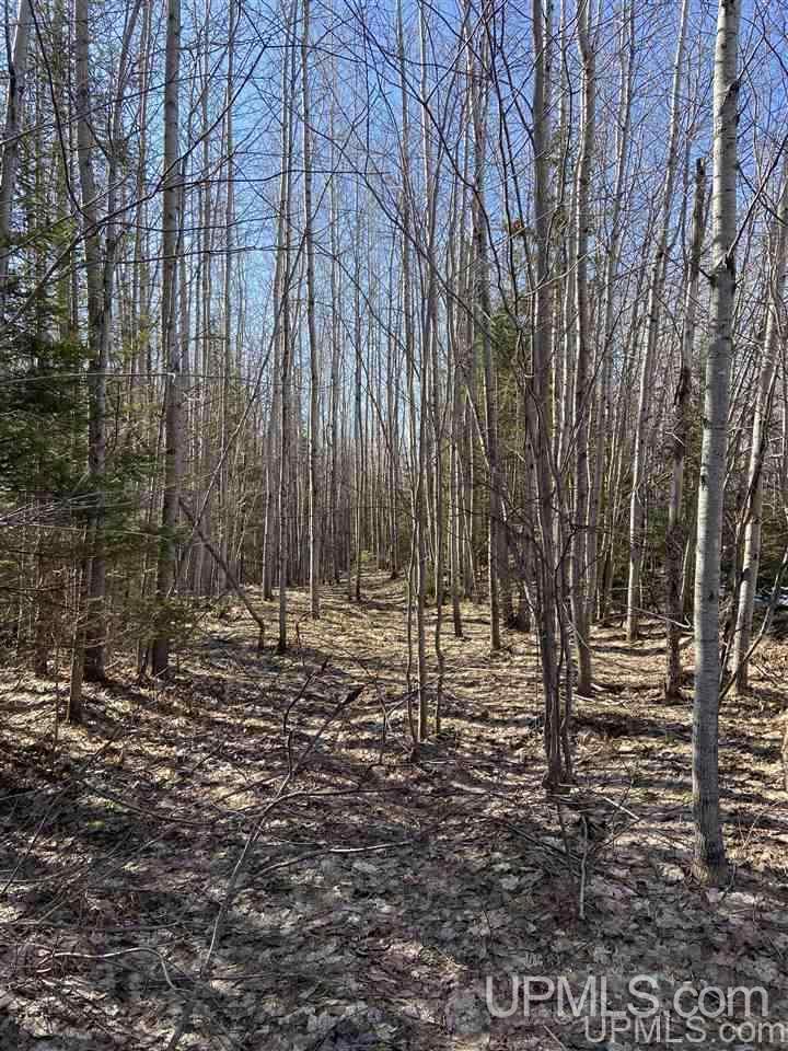Tbd Degarmo Road Trenary, MI 49891 - Photo 23 of 34