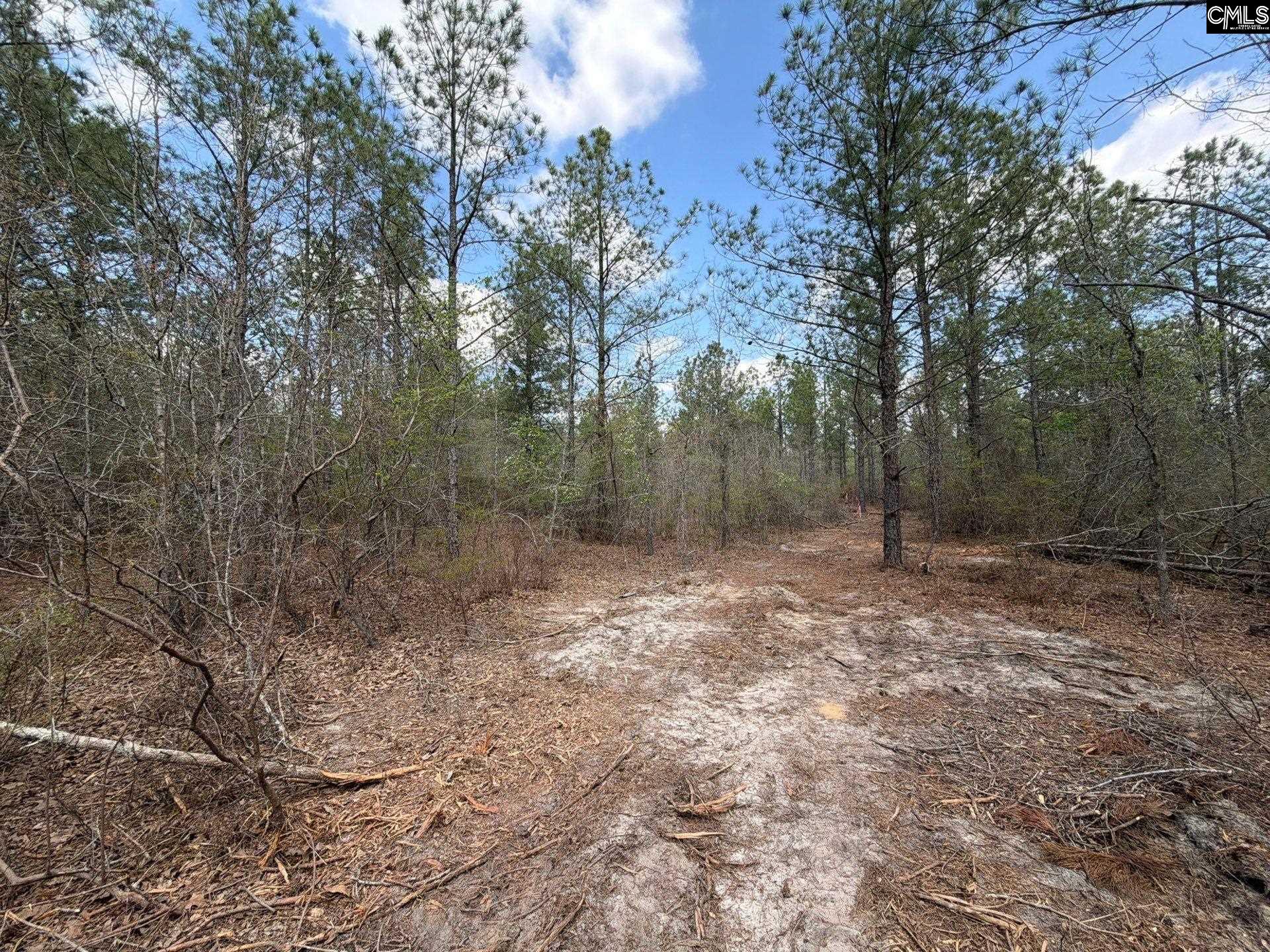 3 Mt Calvary Rd Ridge Spring Ridge Spring, SC 29129 - Photo 15 of 27