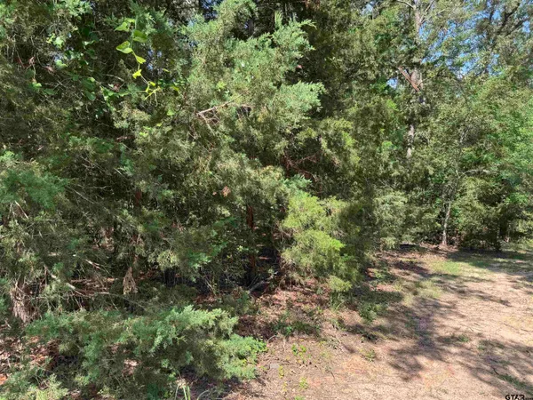 $20,000 | Lot 4 Cypress Creek Drive, Mount Vernon, TX 75457