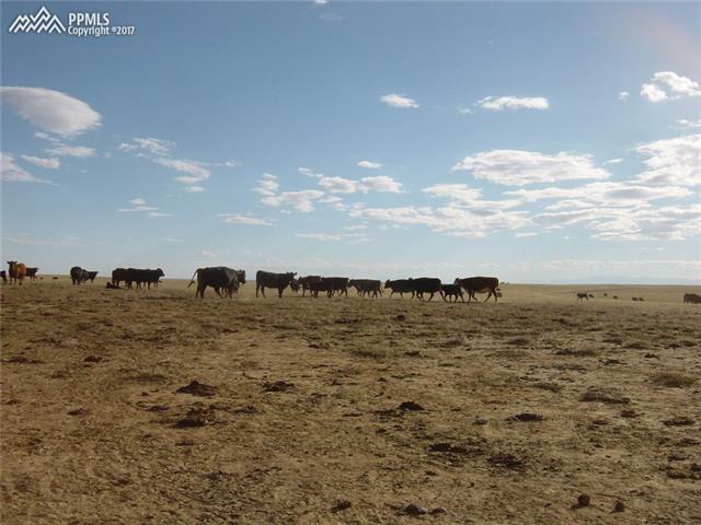 Edison Road Yoder, CO 80864 - Photo 18 of 24