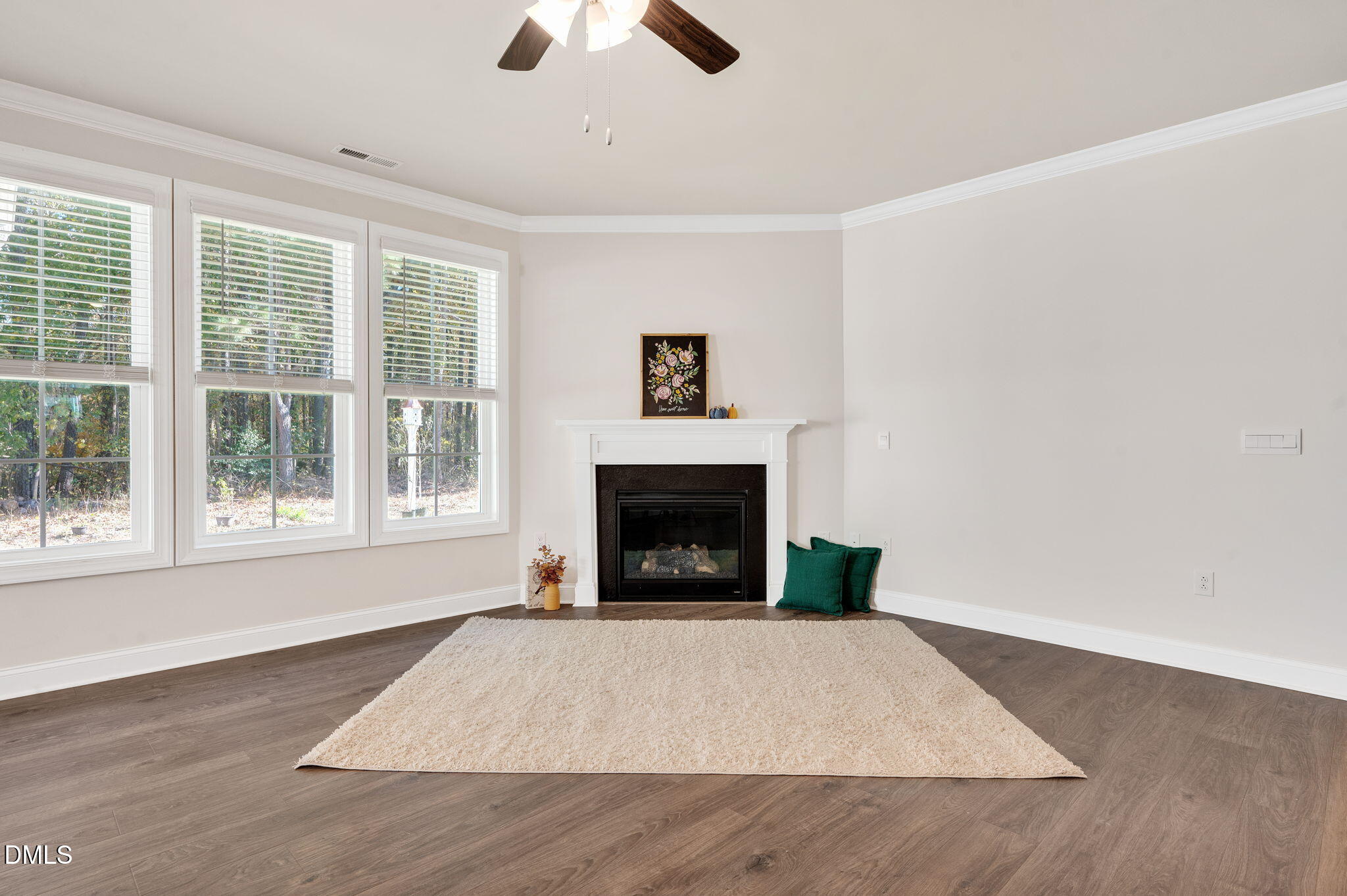 5112 Lizard Tail Lane Raleigh, NC 27603 - Photo 20 of 51 an empty room with fireplace and windows