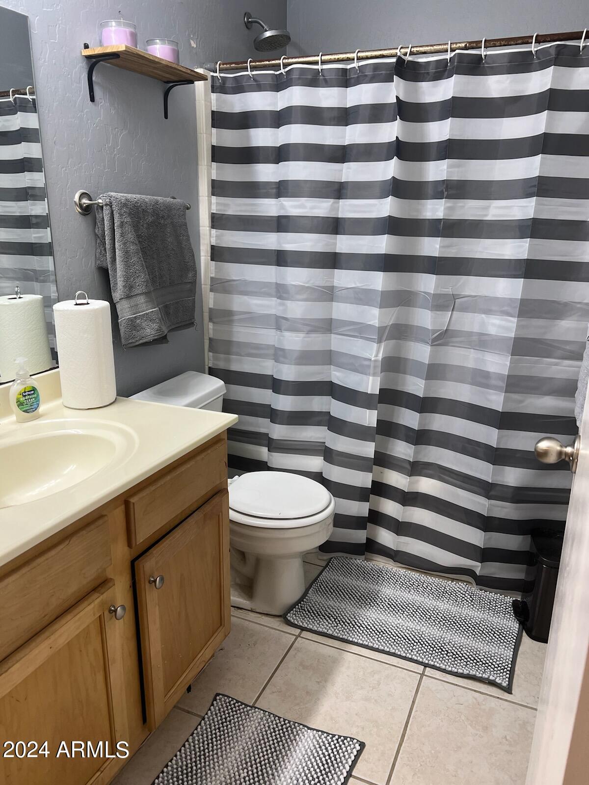 11962 West Coronado Road Avondale, AZ 85392 - Photo 17 of 23 a bathroom with a sink a toilet and shower