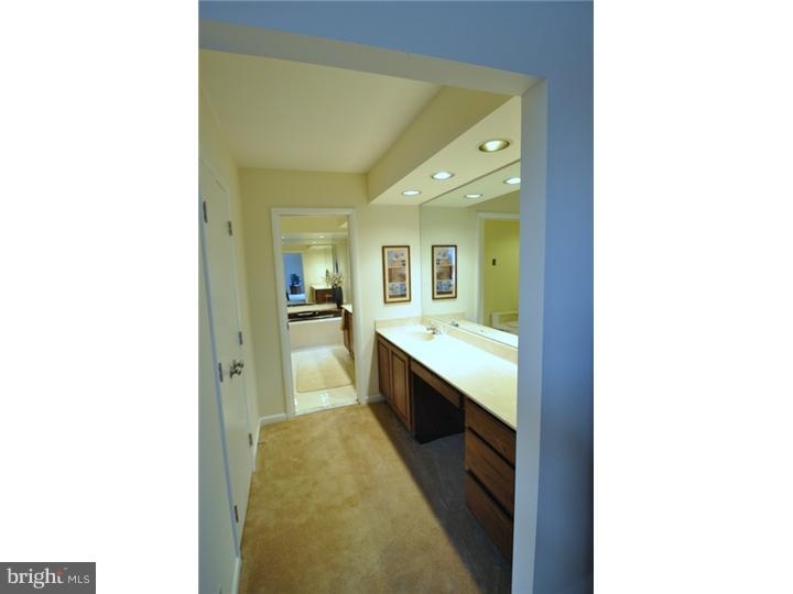 33 Roberts Road Newtown Square, PA 19073 - Photo 17 of 24 Master Bathroom