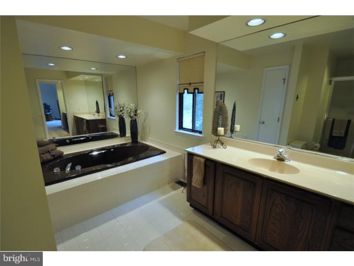 33 Roberts Road Newtown Square, PA 19073 - Photo 18 of 24 Master Bathroom