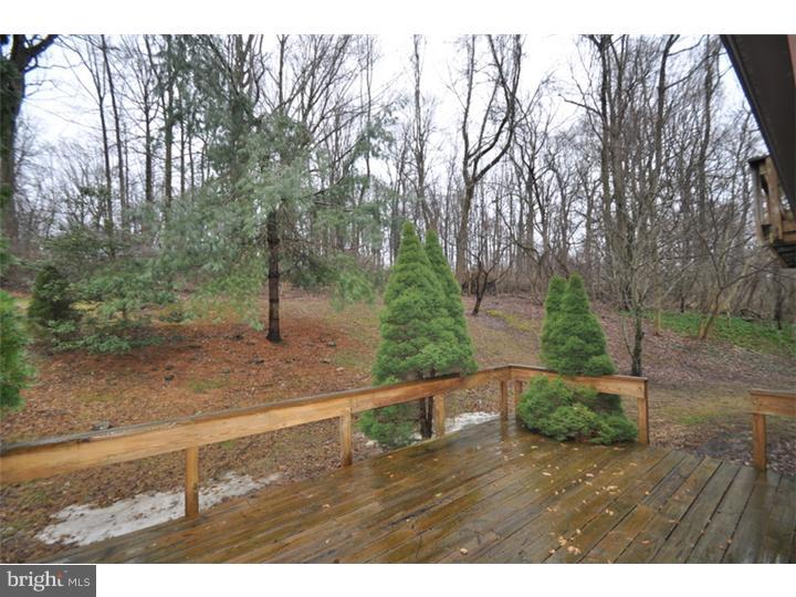 33 Roberts Road Newtown Square, PA 19073 - Photo 23 of 24 View in Back