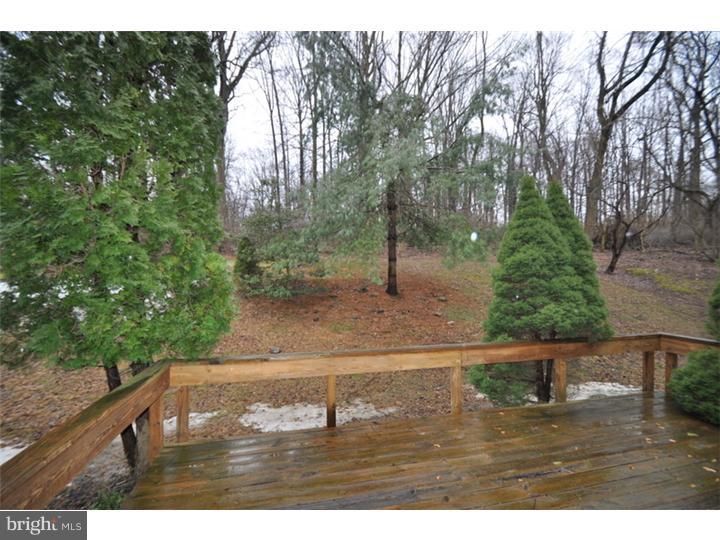 33 Roberts Road Newtown Square, PA 19073 - Photo 24 of 24 View in Back