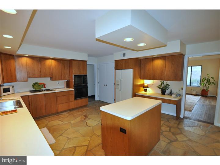 33 Roberts Road Newtown Square, PA 19073 - Photo 10 of 24 Kitchen