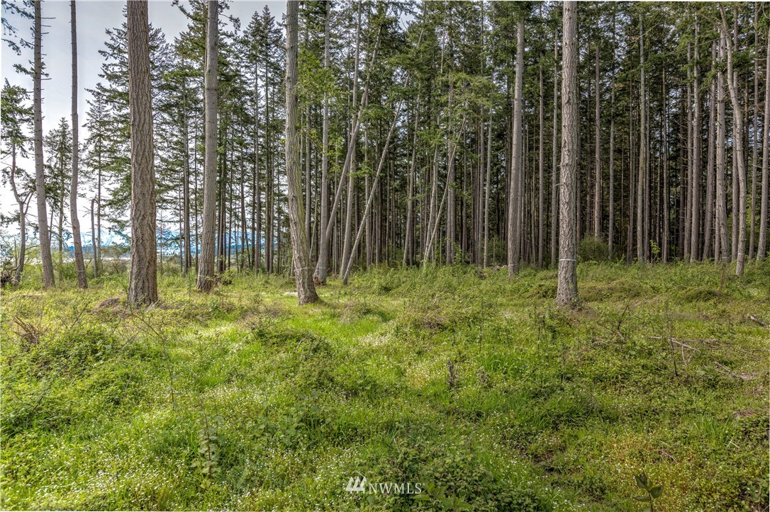 773 Patmore Road Coupeville, WA 98239 - Photo 19 of 21 Gallery Image 19